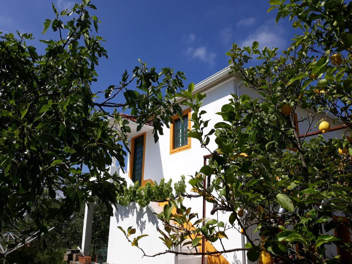 O Ninho Do Rei Apartment Vila de Rei Luaran gambar